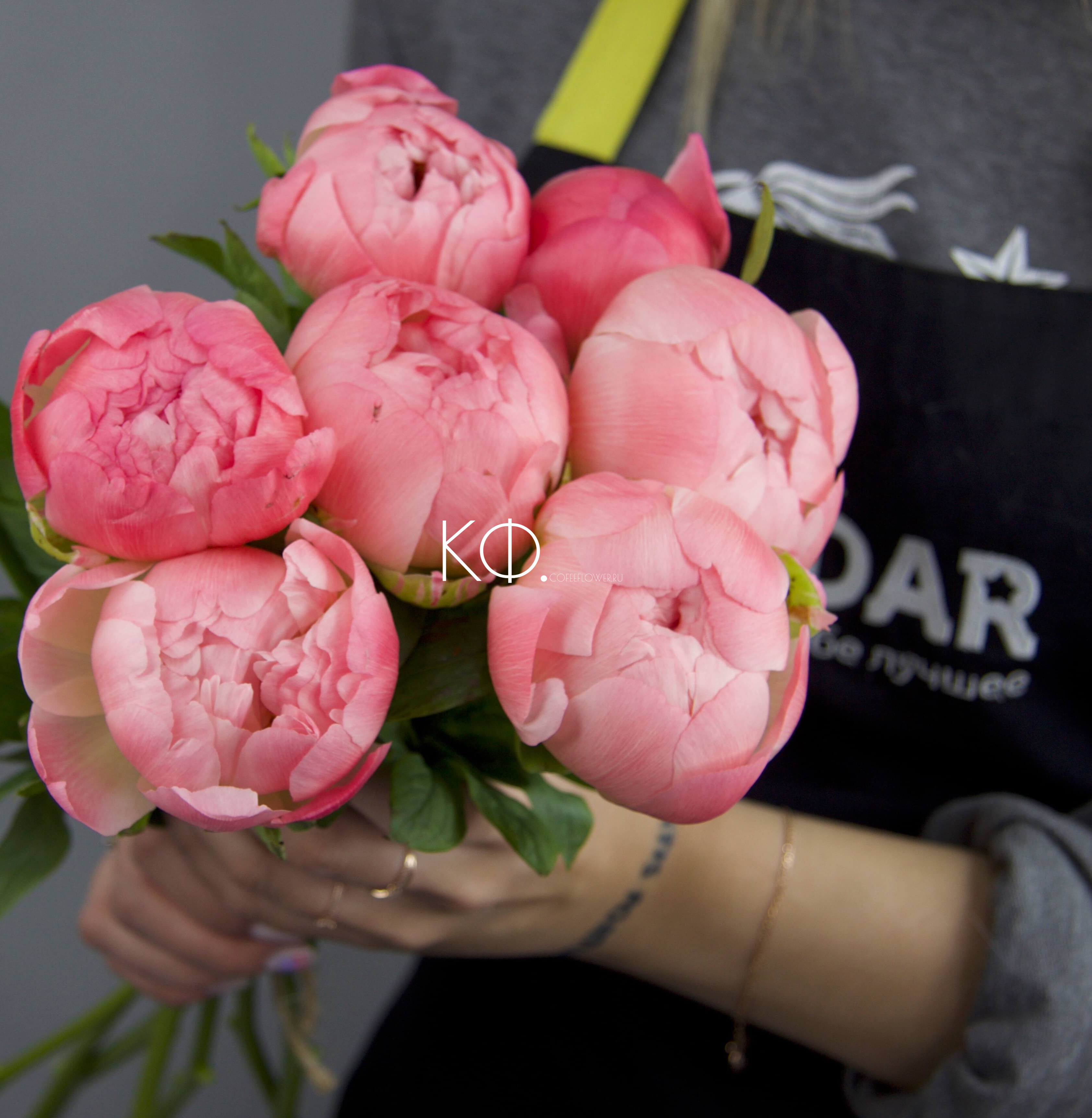 Пион коралловый - фото