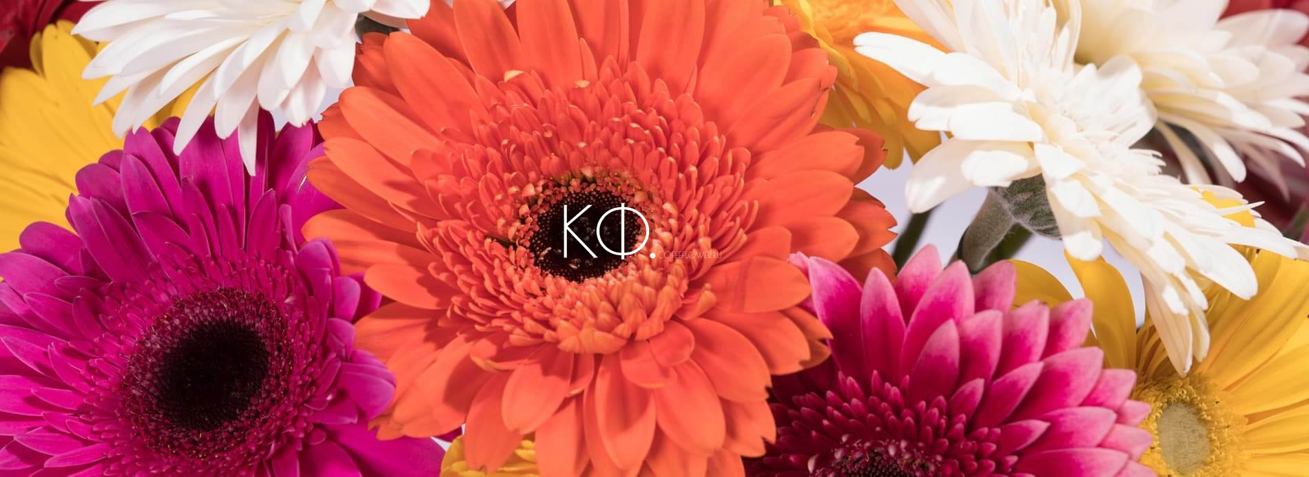 Букет 25 Гербер «Цитрусовый бриз» - фото