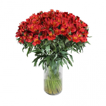 Альстромерии «Красные» - фото