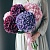 с гортензиями
