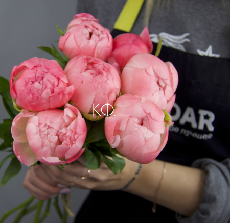 Пион коралловый - фото