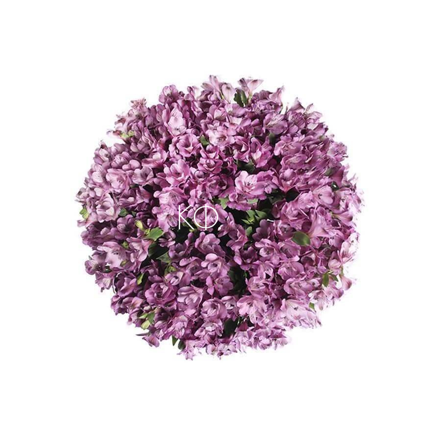 Альстромерии «Фиолетовые» - фото