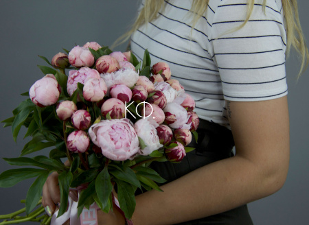 Пион «Сара Бернар» Кубанский - фото